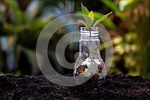 Money saving economy environment.Â  Plants growing in money coins in glass jar for investment planning travel and retirement
